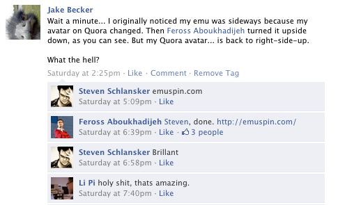 Emu Spin, the genesis